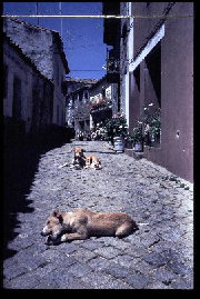 1986portugal06009.jpg